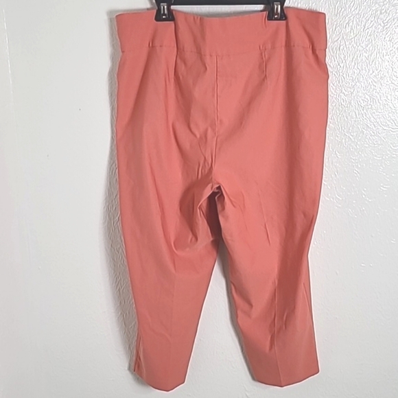 New Direction Coral Curvy Ankle Pants, Size 18W - Picture 4 of 6